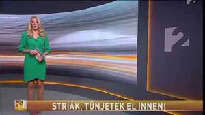 Striák, tűnjetek el innen! Tetoválással tüntetik el a striátkat